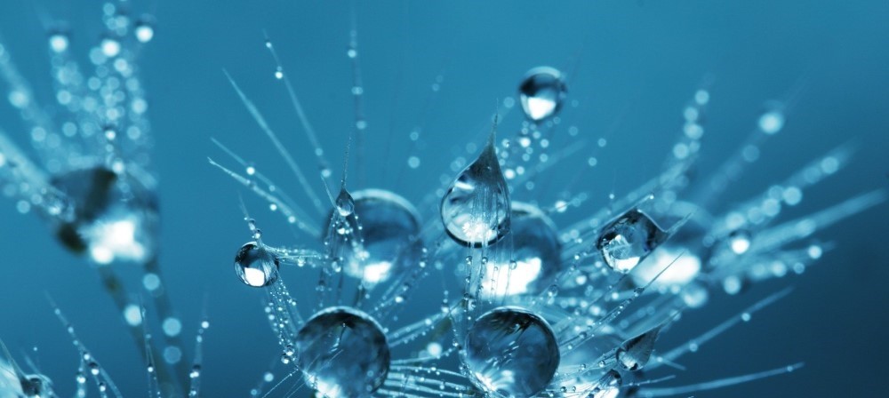  Als Teil unseres Management- und Qualitätsmanagementsystems verpflichten wir uns gemeinsam einen Beitrag für unsere Umwelt zu leisten. 